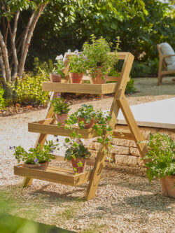 Acacia Plant Stand