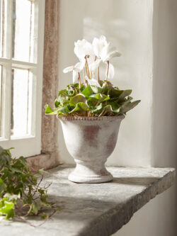 Aged Effect Ceramic Planter