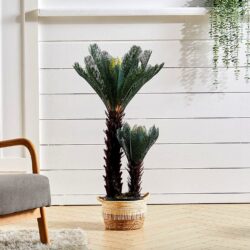 Artificial Double Cycas Decorative Plant in Planter
