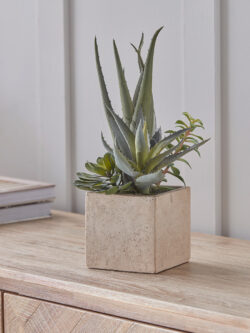Faux Potted Plants