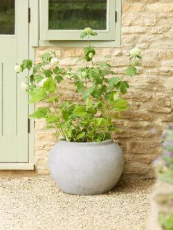 Yana Planter
