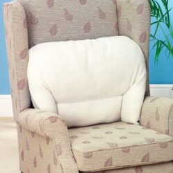 Easylife All-Season Back Support Cushion