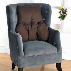 Easylife Back Support Cushion