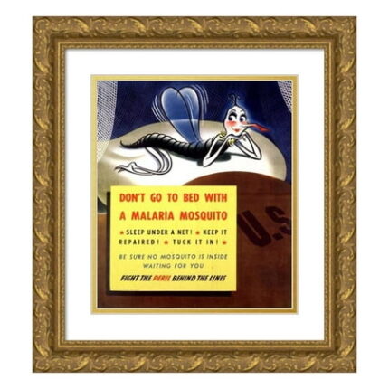 Anonymous 12x14 Gold Ornate Wood Frame and Double Matted Museum Art Print Titled - Don t Go to Bed with a Malaria Mosquito (1944)