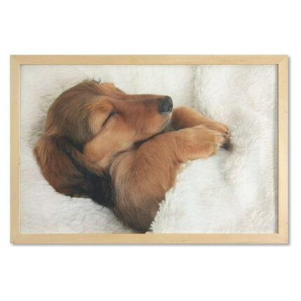 Dachshund Wall Art with Frame Photo of Puppy Sleeping in Its Bed Printed Fabric Poster for Bathroom Living Room Dorms 35 x 23 Ivory Cinnamon by Ambesonne